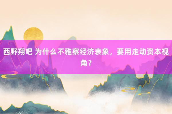 西野翔吧 为什么不雅察经济表象，要用走动资本视角？