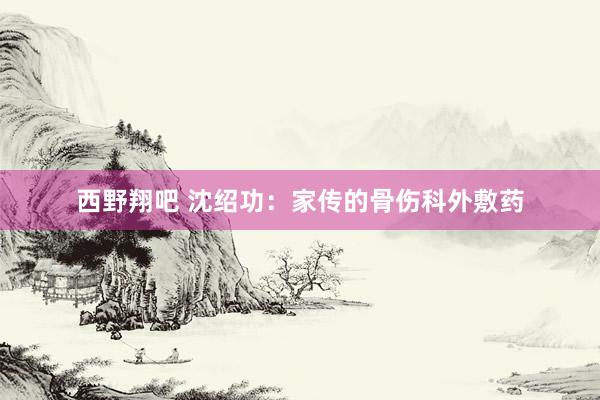 西野翔吧 沈绍功：家传的骨伤科外敷药