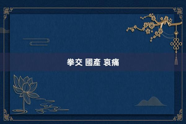 拳交 國產 哀痛