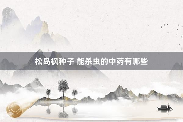 松岛枫种子 能杀虫的中药有哪些