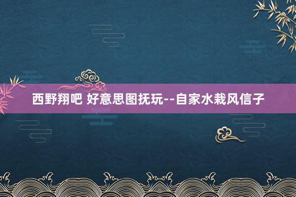 西野翔吧 好意思图抚玩--自家水栽风信子