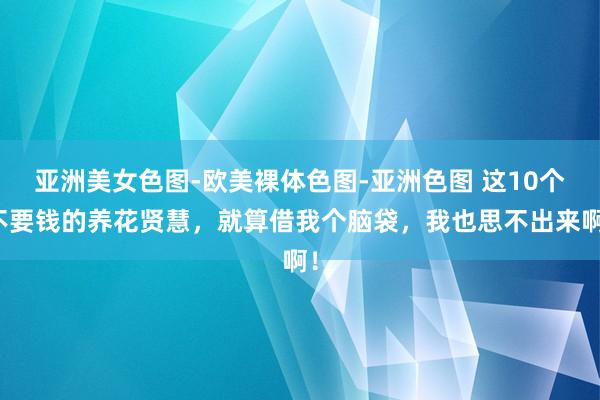 亚洲美女色图-欧美裸体色图-亚洲色图 这10个不要钱的养花贤慧，就算借我个脑袋，我也思不出来啊！