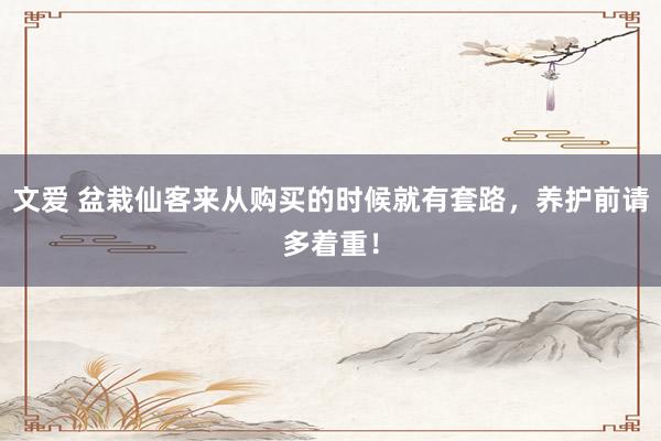 文爱 盆栽仙客来从购买的时候就有套路，养护前请多着重！