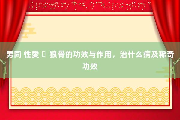 男同 性愛 ​狼骨的功效与作用，治什么病及稀奇功效