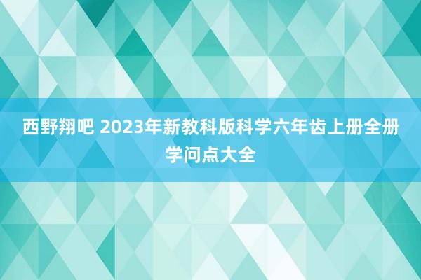 西野翔吧 2023年新教科版科学六年齿上册全册学问点大全