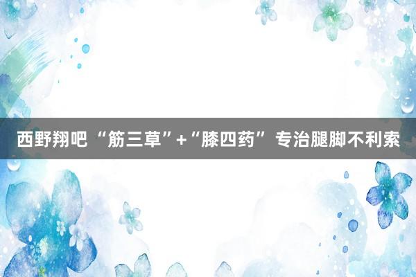 西野翔吧 “筋三草”+“膝四药” 专治腿脚不利索